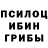 Галлюциногенные грибы мухоморы Dino Rei