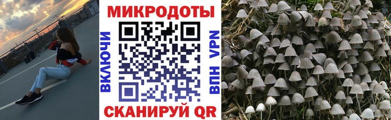 мега ссылки  Сургут  Галлюциногенные грибы мицелий  закладки 