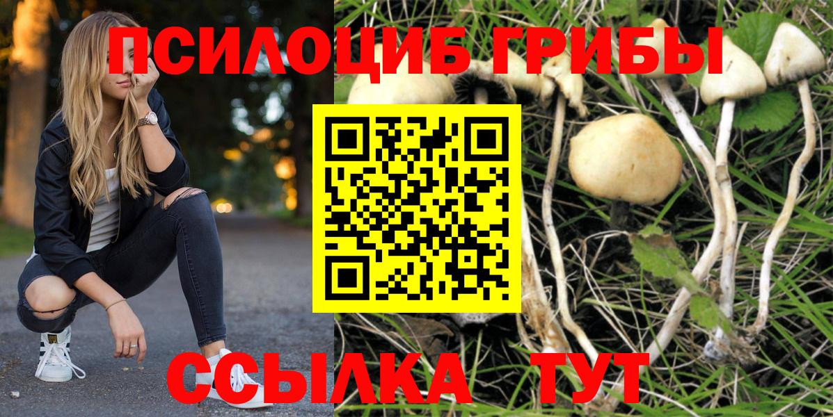 Галлюциногенные грибы прущие грибы Сургут