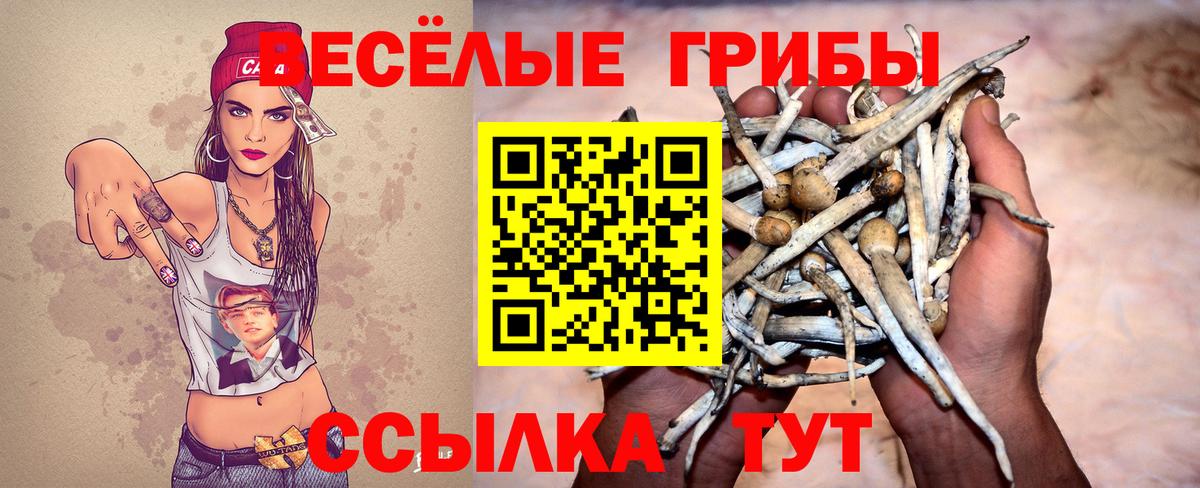 Псилоцибиновые грибы мицелий  Вход с VPN  Сургут 