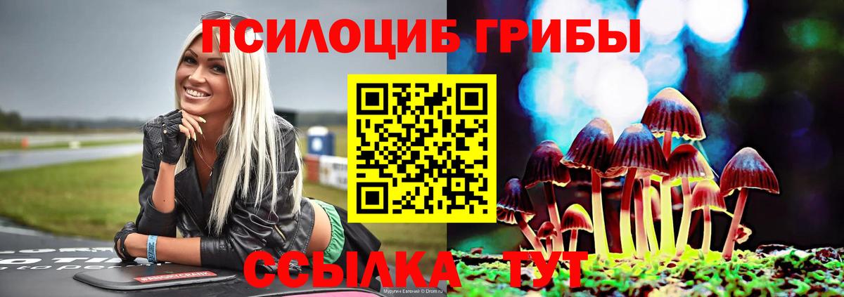 Псилоцибиновые грибы ЛСД Сургут